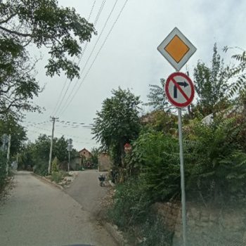 Picture1