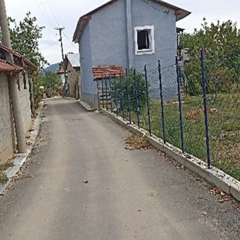 Picture1