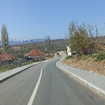 Picture15