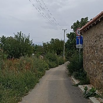 Picture2