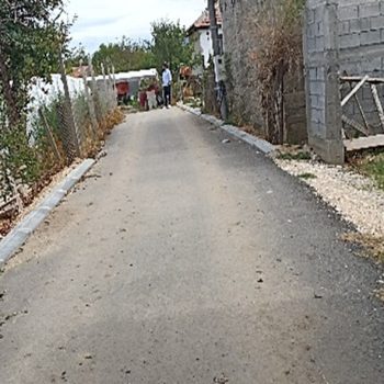 Picture2