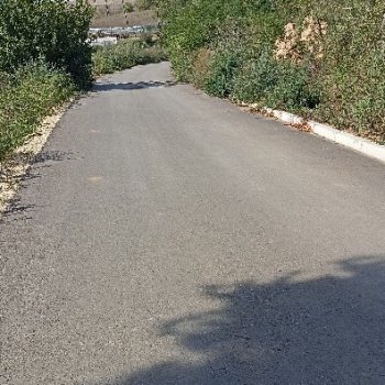 Picture4