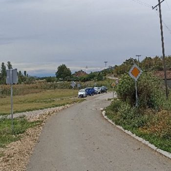 Picture5